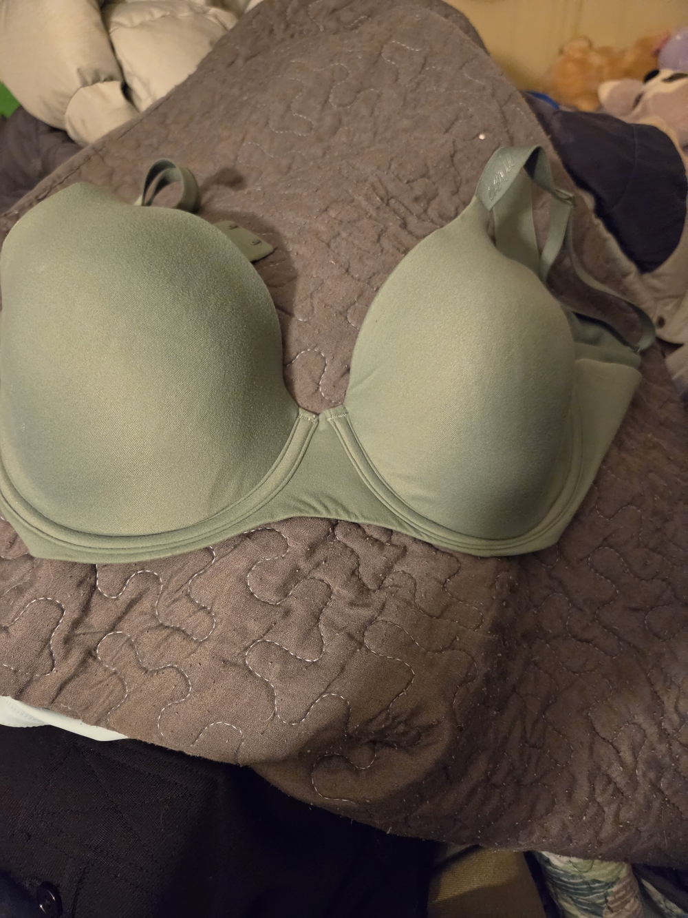 aerie Molded Underwire Bra in Sage